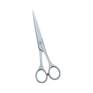 Dressing Scissors