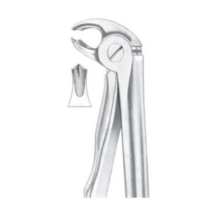 Extracting Forceps English Pattern