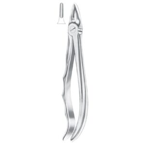 Extracting Forceps English Pattern