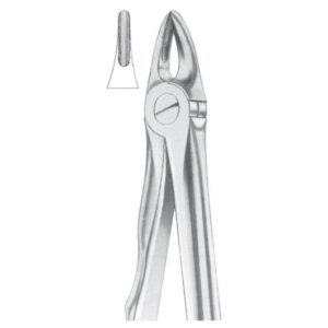 Extracting Forceps English Pattern