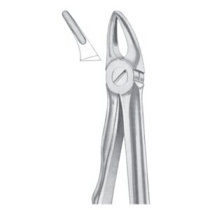 Extracting Forceps English Pattern