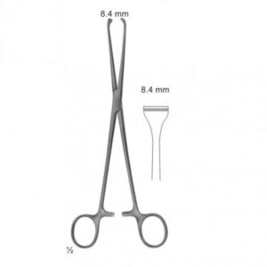 Abdominal Surgery Intestinal And Rectal Instruments