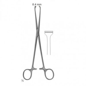 Abdominal Surgery Intestinal And Rectal Instruments